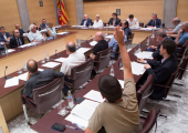 CUP Ple Diputació Girona CUP Ple Diputació Girona